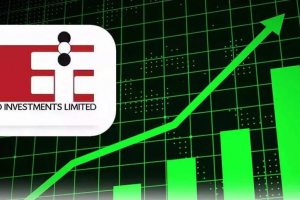 印度妖股Elcid Investments单日飙涨6692635%!但仍不及比特币